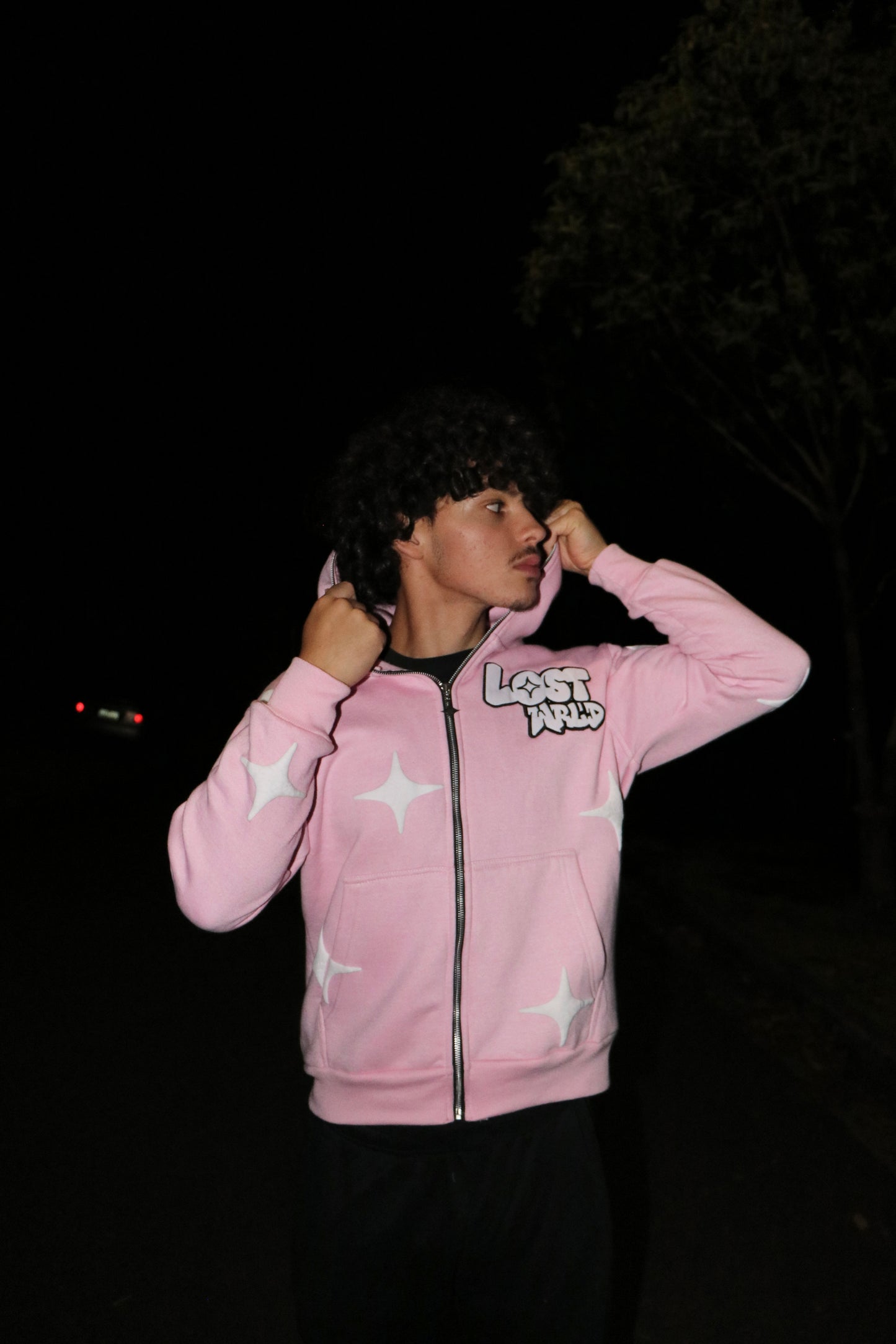 LostWrld Zip Hoodie (Pink)
