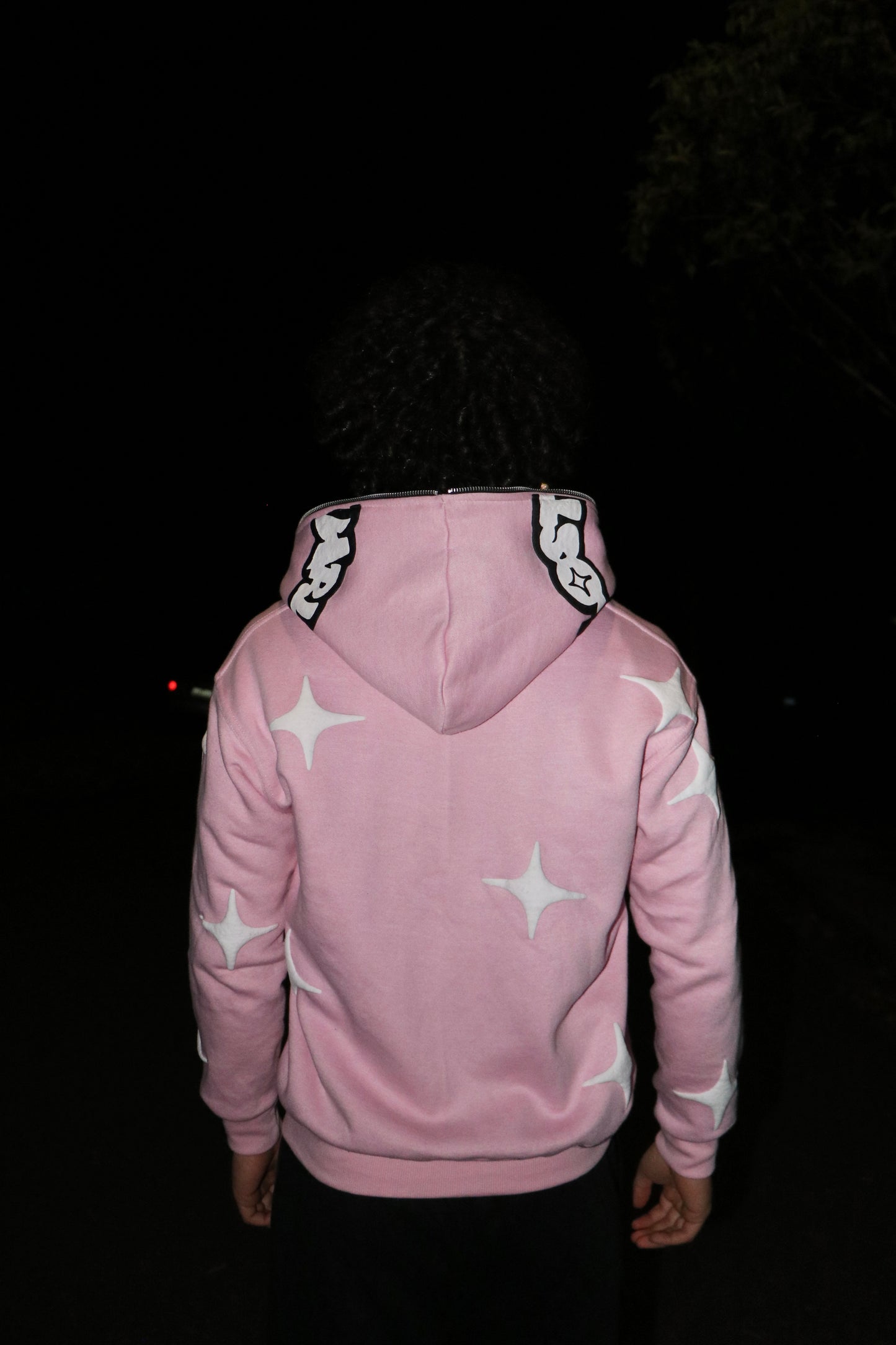 LostWrld Zip Hoodie (Pink)