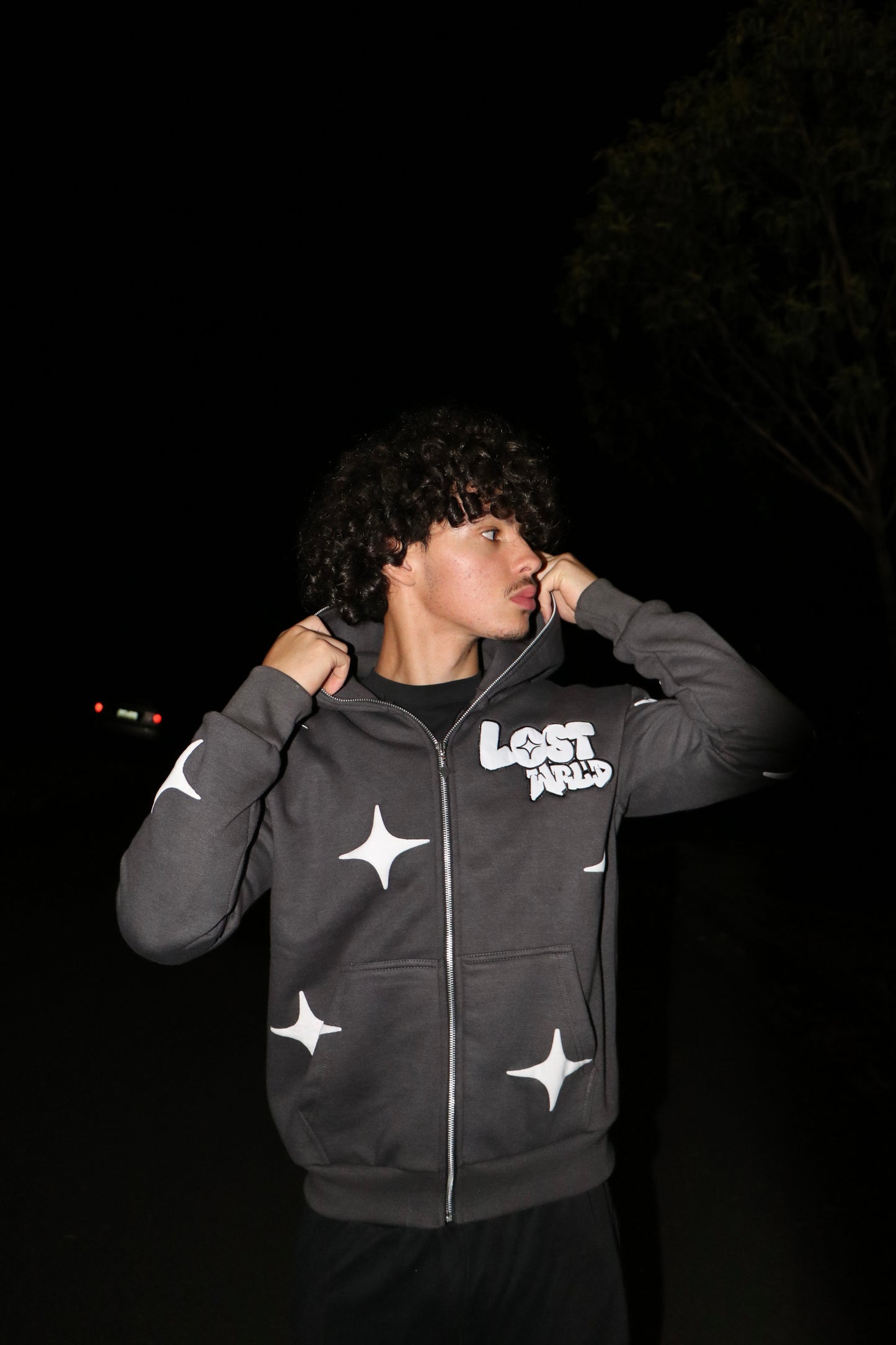 LostWrld Zip Hoodie (Grey)